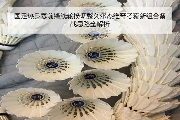 国足热身赛前锋线轮换调整久尔杰维奇考察新组合备战思路全解析 | OUBAO